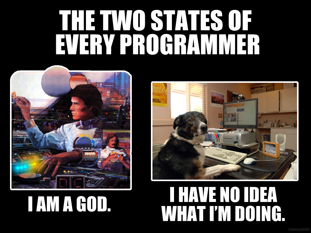 The two states of every programmer